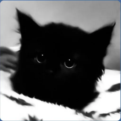 creator ~★Sora☆~'s avatar