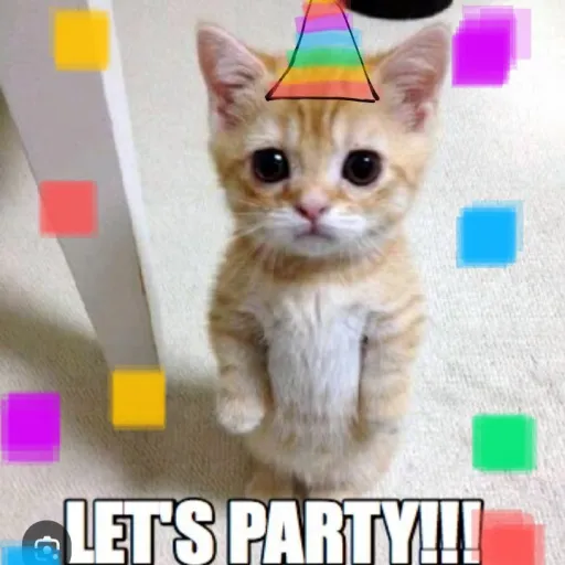 creator blueberry>loveie's avatar