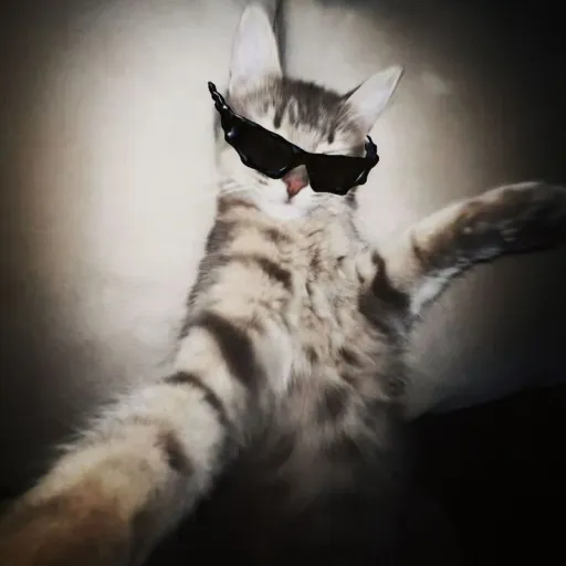 talkie's author avatar