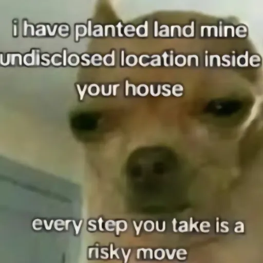 creator Talkior-1Z48Kwgm's avatar