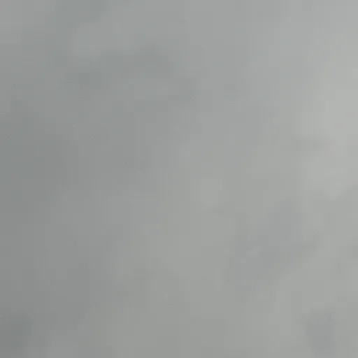 creator 🌸bloss's avatar