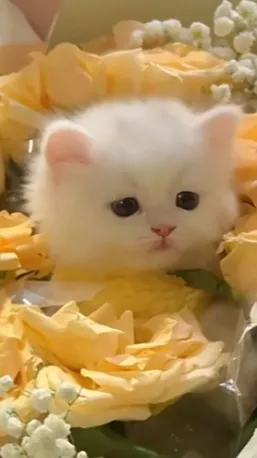 ai character: u name it background