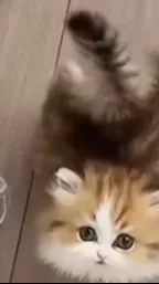 ai character: munchkin background