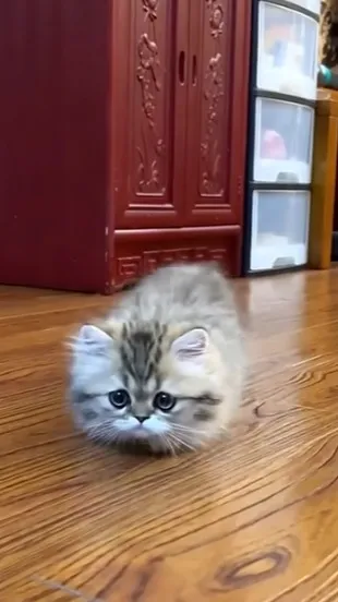 ai character: bakey background