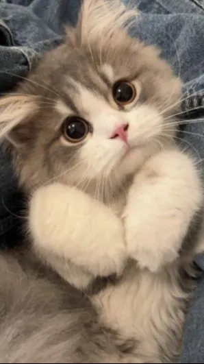 ai character: stormy background