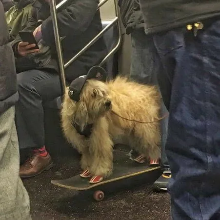 creator bazooka_mamooshka's avatar