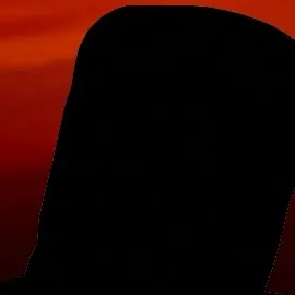 chat with ai character: פרחים