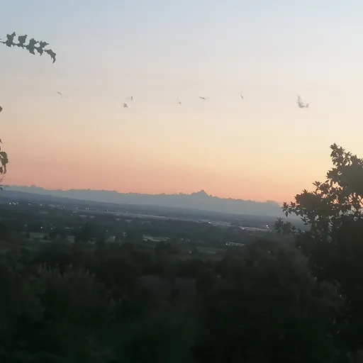 creator ~🌹💥🎸𝒉𝒆𝒍𝒍𝕣𝕠𝕤𝕖🎸💥🌹~'s avatar