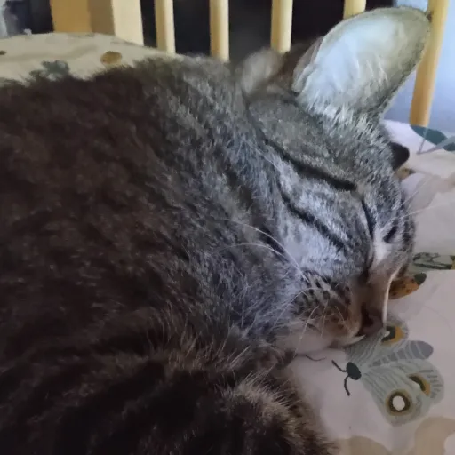 creator Not_the_one/for-u😘's avatar