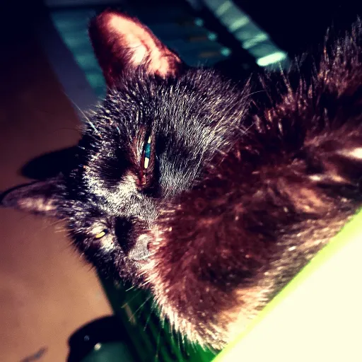 creator (Hacked)'s avatar