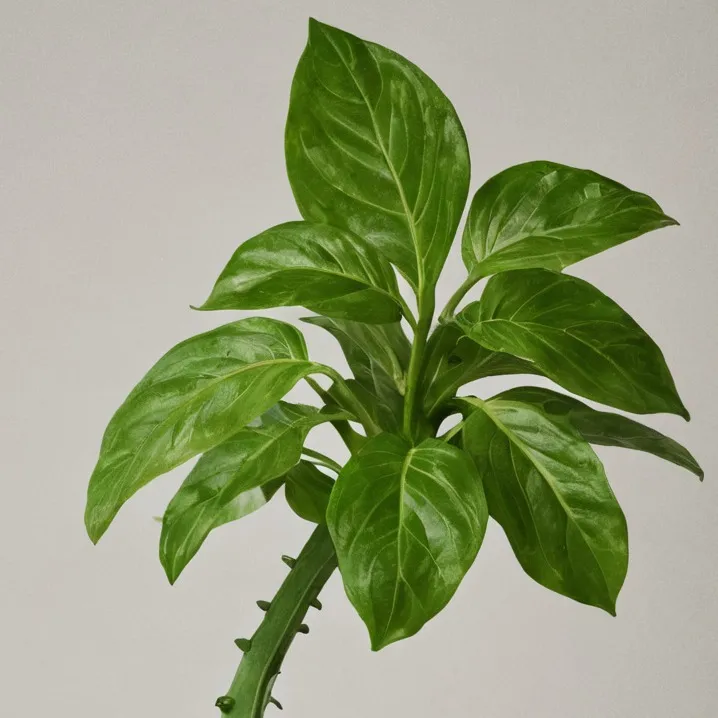 chat with ai character: My class