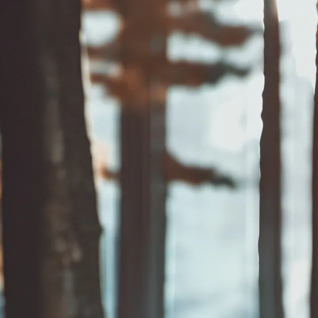 chat with ai character: TOUCHGRASS BRO