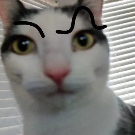 creator Serious Tic Tac's avatar