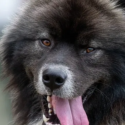 creator girly girly...bruh's avatar