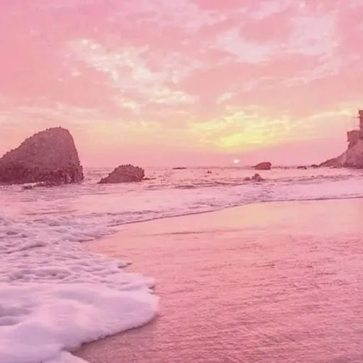 creator 🌸サミラ・Samyra♥︎𓆉✭'s avatar