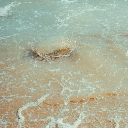 chat with ai character: Outer banks 