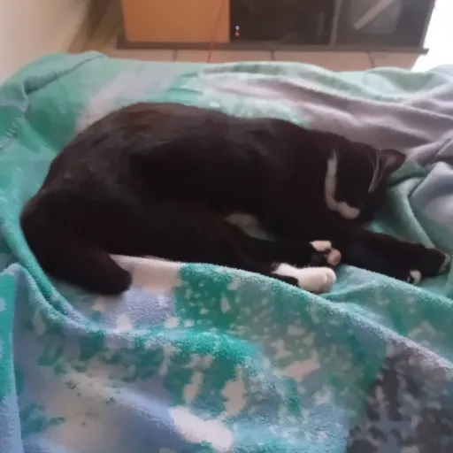 creator blackclack666's avatar