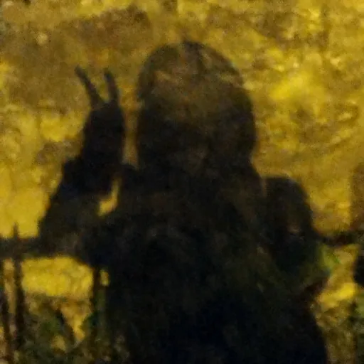 creator Lou12's avatar