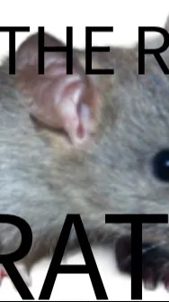 ai character: Mini(Cod oc) background