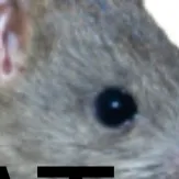 chat with ai character: Mini(Cod oc)