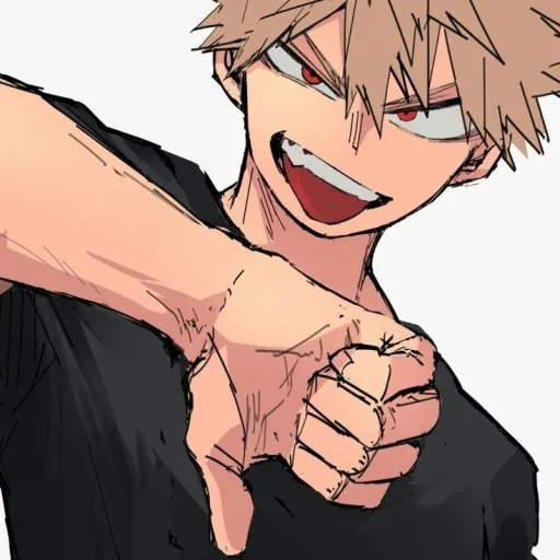 creator Bakugo's wife10's avatar