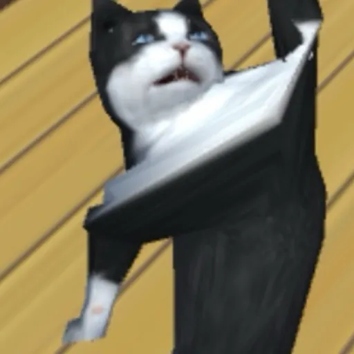 creator Miopqui's avatar