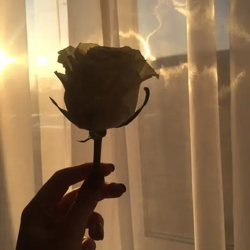 creator BAYYYYYYYY's avatar