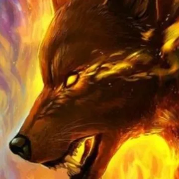 creator Talkior-q9L1mZda's avatar