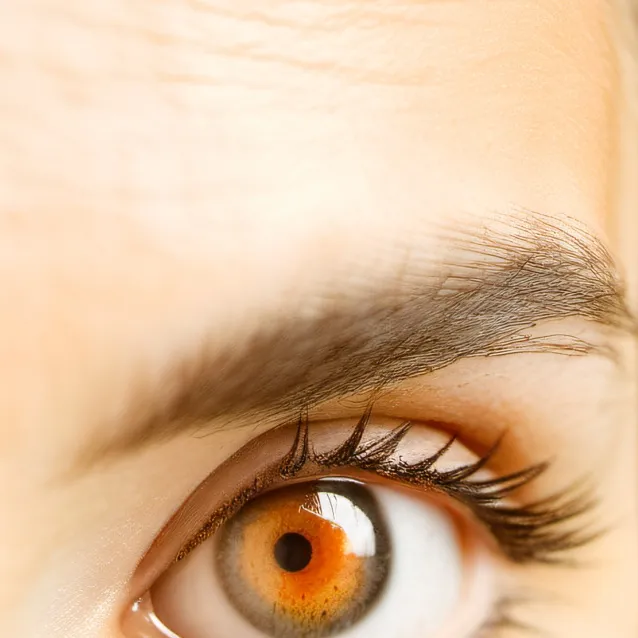 chat with ai character: Phoenix 