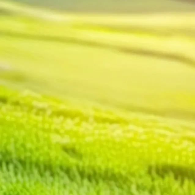 chat with ai character: idk