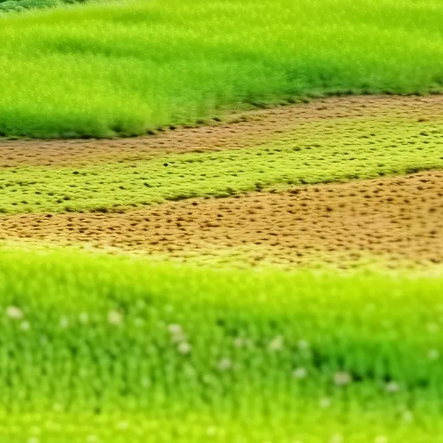 chat with ai character: grass