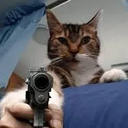 creator 🐉🐲Nikeairpunch🐲🐉's avatar