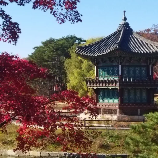 creator La fille des îles's avatar