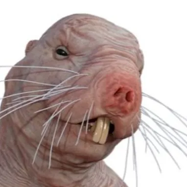 creator snickernugger778's avatar