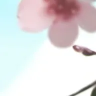 chat with ai character: sukuna 