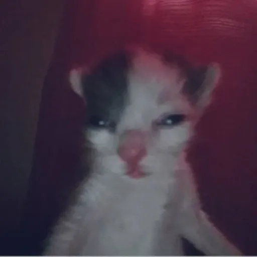 creator ∉Käirí∌'s avatar