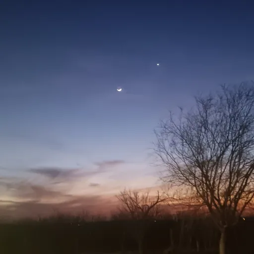 creator ☆•Sam•☆'s avatar