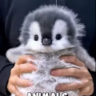 creator RuskiVodka's avatar