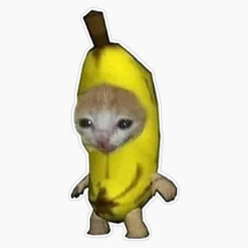 creator A binchilling's avatar