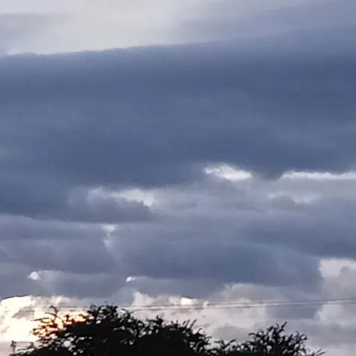 creator AngelaArcega's avatar