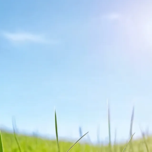 chat with ai character: Grass