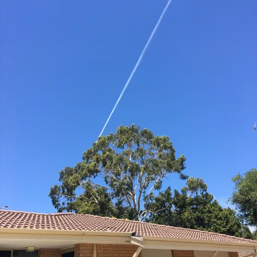 creator Jake Pellicano's avatar