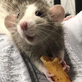 creator sleepydragon30242's avatar