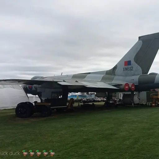 creator Jdogisnobot😛😝😜🤪😂🤣👻's avatar