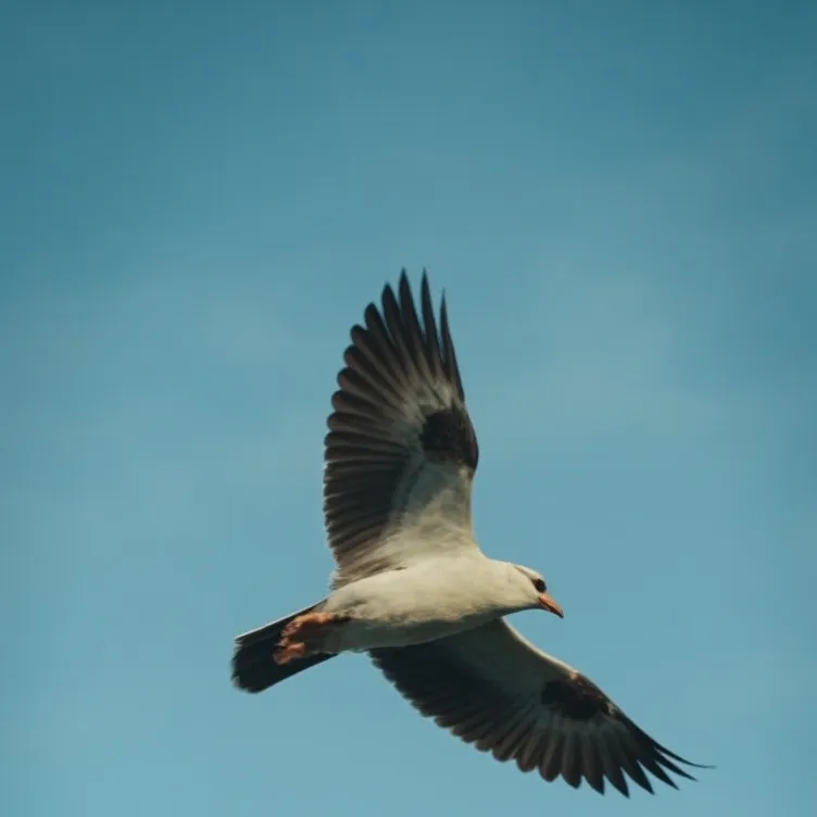 chat with ai character: Tawog vore,