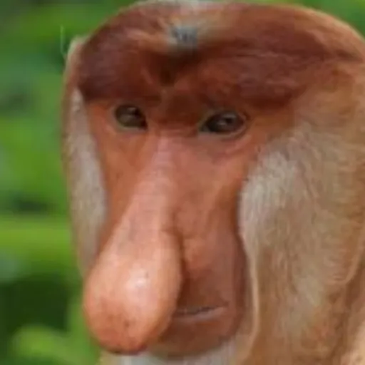 creator Szymonkról's avatar