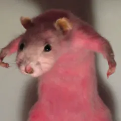 creator Ramen4life✌🏻's avatar