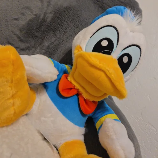 creator (-Cool Noodlez-)'s avatar