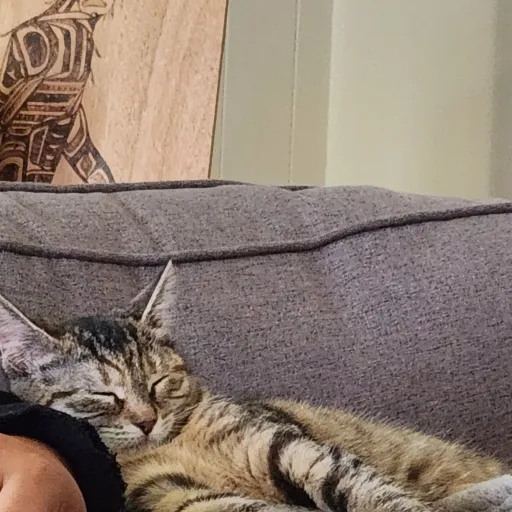 creator crazyeights8888888's avatar