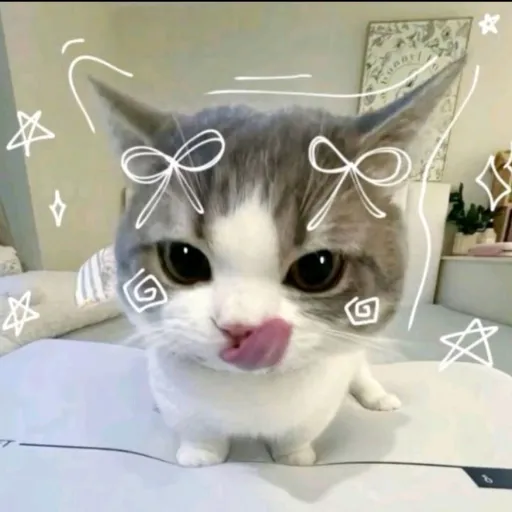 creator ⋆𐙚 ̊.𝚇𝙰𝙽Ⓓ𝚁𝟷𝙰⋆𐙚 ̊.'s avatar